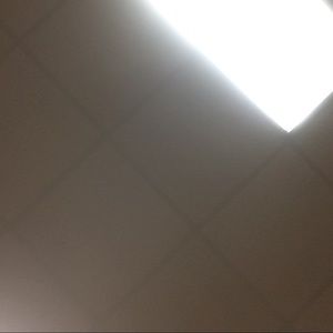 Meet your Posher, Lexi